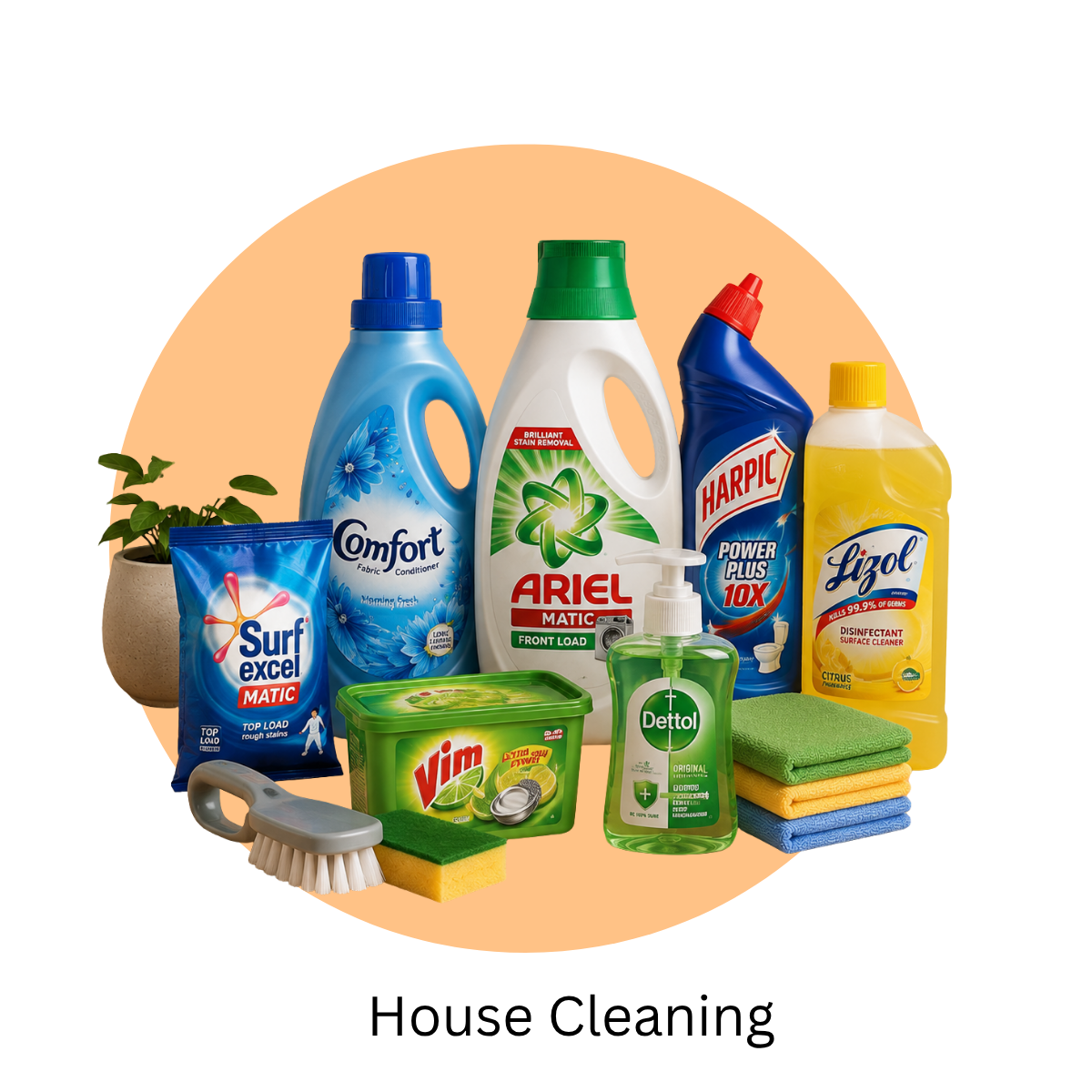 House Cleaning